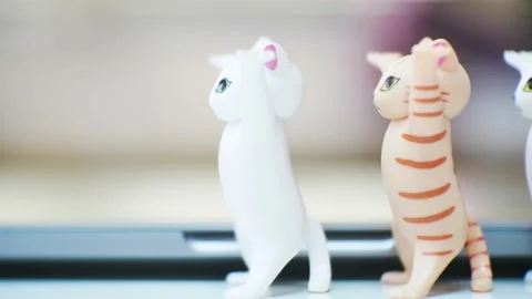 Stop motion footage cute cat walking. Stock Footage 220128236