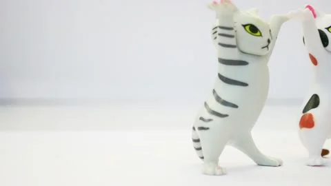 Stop motion footage cute cat walking. Stock Footage 220174365