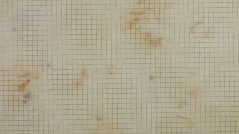 Stop motion of handmade craft paper sheets in natural earth tones. Stock Footage 330276080