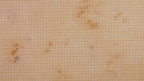 Stop motion of handmade recycled paper sheets. Stock Footage 330275265