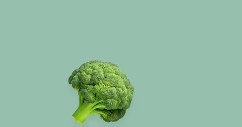 Stop motion loop broccoli on blue background Stop motion loop on 4k  Stock Footage 230095236