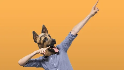 Stop Motion of Man in Dog Mask on Flashing Background Stock Footage 112712575