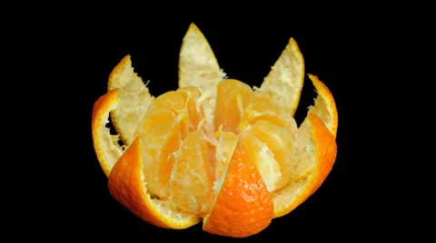 Stop motion mandarin peeling like a flower blossom out Stock Footage 23984948