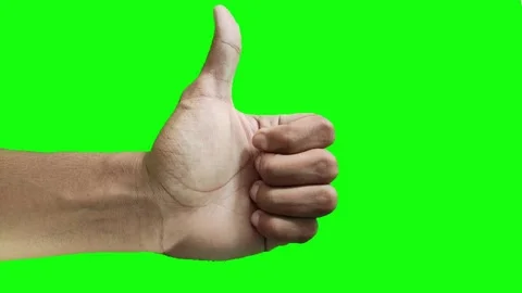 Stop Motion peace on the green screen Stockbeeldmateriaal 219598555