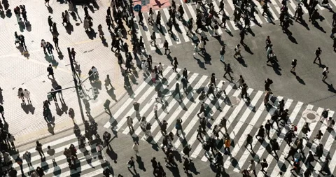 Stop motion of people crossing the road at Shibuya Scramble Crossing Stock Footage 263282285