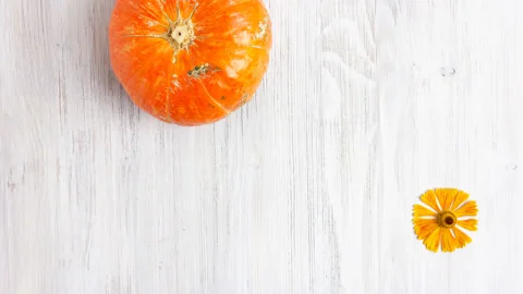 Stop motion pumpkin and autumn leaves on a white wooden background. Thanksgiving Stock Footage 141616472