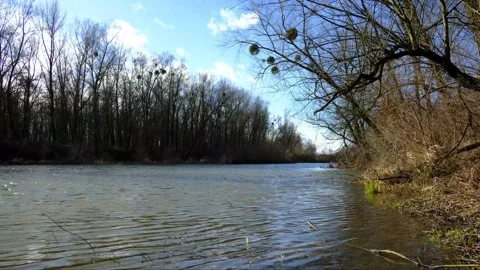 Stop motion recording of the river gusen Video stock 147908793