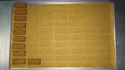 Stop motion. Rectangular cookies are laid out on a baking sheet Vídeos de archivo 125957319