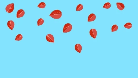 Stop motion red leaves fall on a turquoise background Stock Footage 118605969