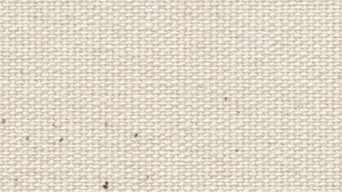 Stop motion seamless looped canvas background Stock Footage 131307111