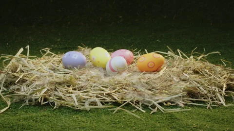 Stop motion shot of Easter eggs put in a nest with dry grass Stock Footage 288561823