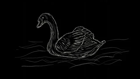 Stop Motion of a Swan in Random Handwritten Design Video stock 286144506