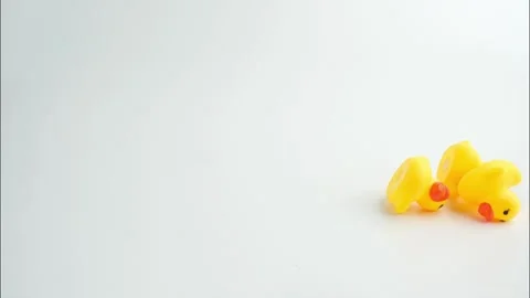 Stop Motion Three Little Yellow Ducks Play Together in 4K Stock Footage 257519122