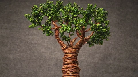 Stop Motion Tree Growth Stock Footage 54792694