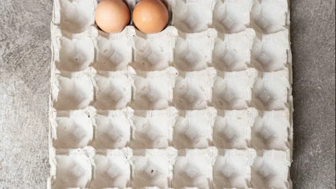 Stop motion VDO eggs in container. Stock Footage 130607675