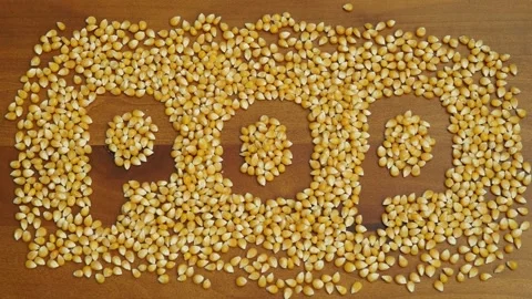 Stop motion video of corn kernel forming the word "pop". Stock Footage 160129379