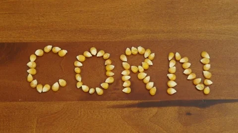 Stop motion video of corn kernel forming the word "corn". Stock Footage 160129380