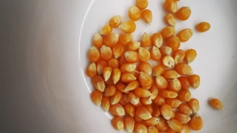 Stop motion video of corn kernel forming the word "fiber". Stock Footage 160166694