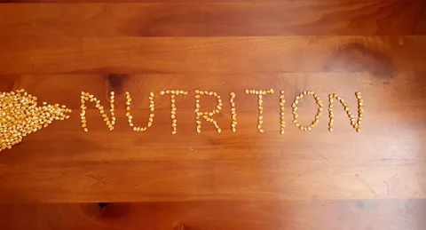 Stop motion video of corn kernel forming the word "nutrition". Stock Footage 160432650