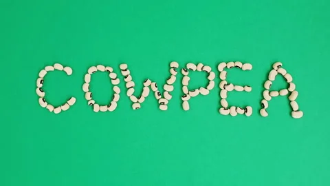 Stop motion video of cowpea or black-eyed pea forming the word "cowpea". Stock Footage 161748403