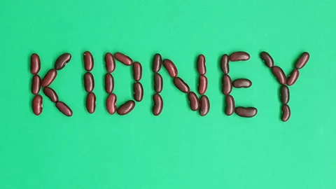 Stop motion video of red kidney bean forming the word "kidney". Stock Footage 161911692