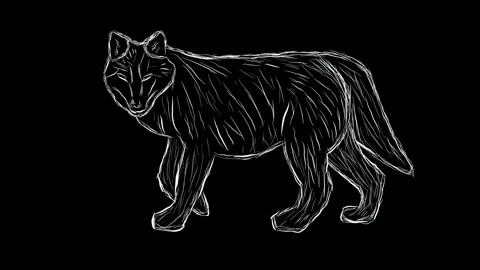 Stop Motion Wolf with Handwritten Design and Pencil Scribbles Stock Footage 286144907