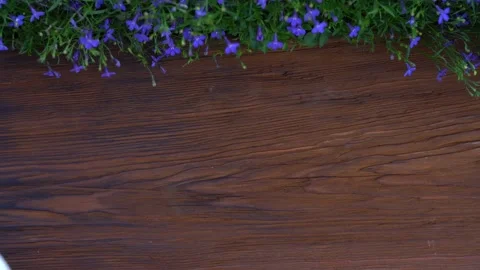 Stop movement. Tomatoes appear on a white plate. Group of fresh ripe vegetables Stock Footage 142742268