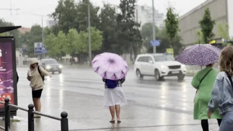 Stop on the road Stock Footage 244739616