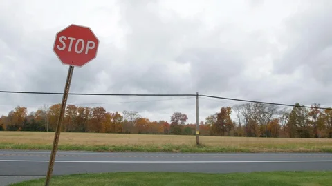 Stop sign country road framed left Video stock 97820341