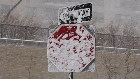 Stop Sign Covered in Snow Stock Footage 72725278