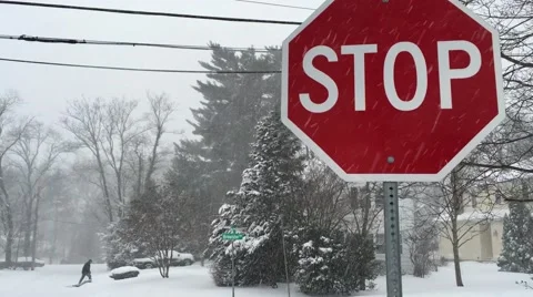 Stop sign during snow storm and trees in the back United States Stock Footage 61863346