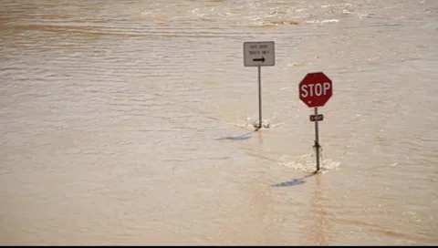 Stop Sign in the Flood 스톡 동영상 8649350