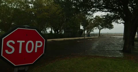 Stop Sign in a Florida Hurricane 動画素材 221872151