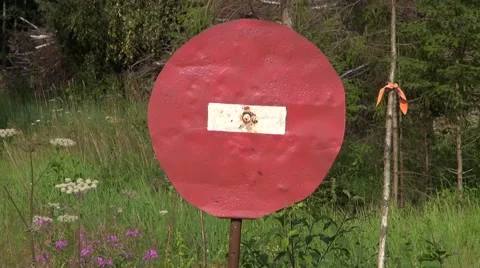 STOP sign in forest Stock Footage 66685954