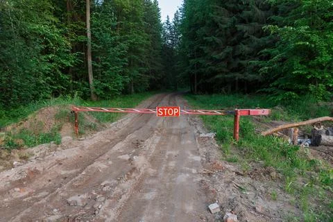 Stop sign in the forest. Stock Photos