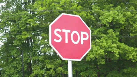 Stop sign with green trees background Vidéo 311025370