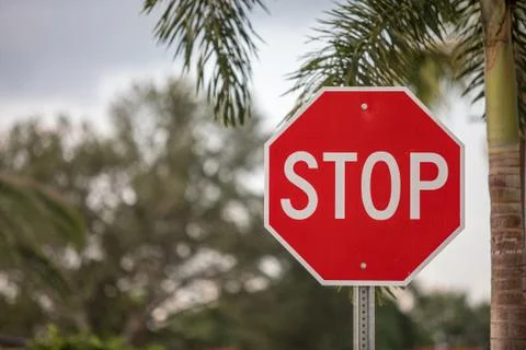 Stop sign palms Stock Photos