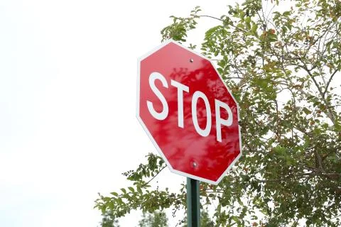 Stop Sign Stock Photos