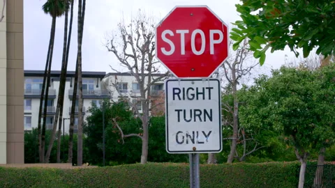Stop Sign - Right Turn Only Stock Footage 237842787