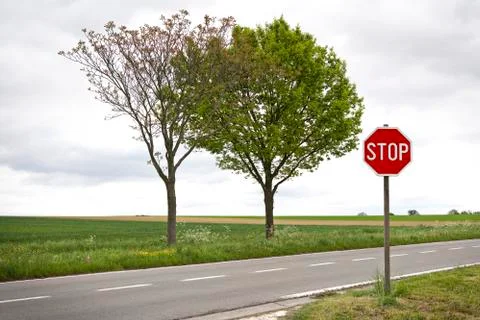 Stop sign by the side of the road, with two trees. Stock Photos