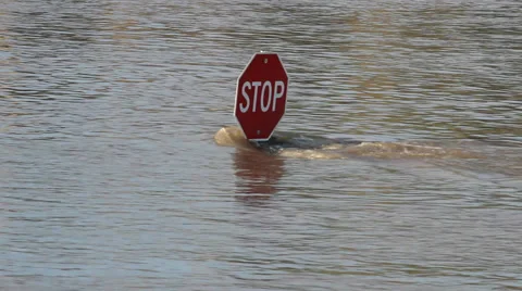 Stop Sign under water: Flash Floods in Texas Video stock 51101080