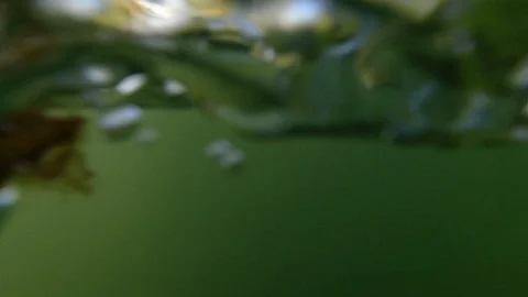 Stop sign under water Stock Footage 108668457
