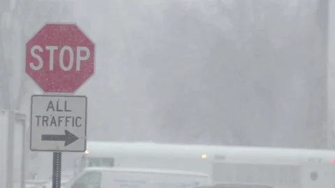 Stop sign View of Brooklyn during snowstorm Manhattan New York City usa Video stock 84838964