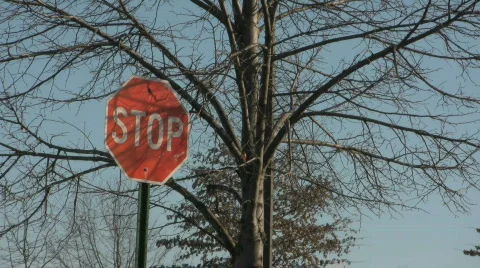 Stop sign in wind CR 1 Stock Footage 313268