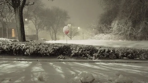 Stop signs covered in snow Stock Footage 72415907