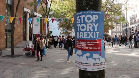 'Stop Tory Brexit' poster Stock Footage 96271163