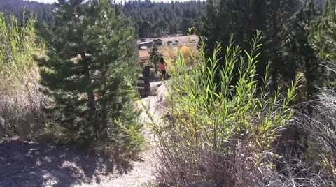 Stoping to look at the meadow Video stock 42607498