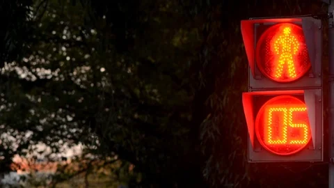 Stoplight turning Green to Red Stock Footage 81074794