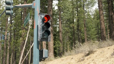 Stoplight turns from red to green in front of pine trees 스톡 동영상 89608255