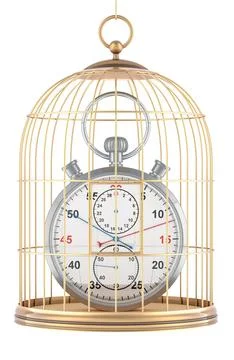 Stopwatch inside bird cage, 3D rendering Stock Illustration